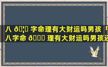 八 🦁 字命理有大财运吗男孩「八字命 🍁 理有大财运吗男孩还是女孩」